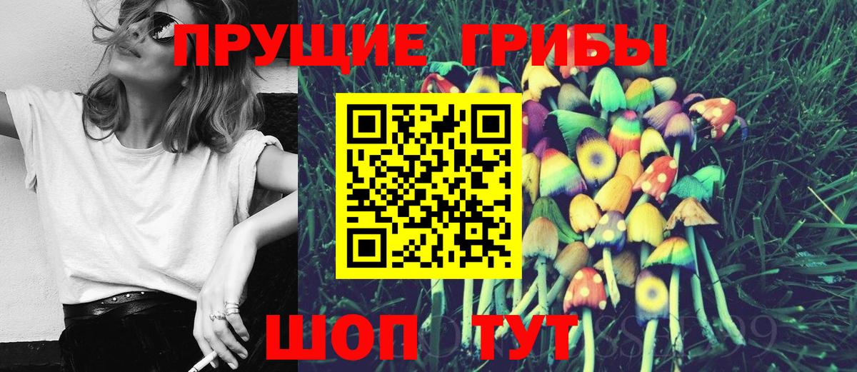 Псилоцибиновые грибы мицелий  наркота  Вход с VPN  Ижевск  Псилоцибиновые грибы MAGIC MUSHROOMS 